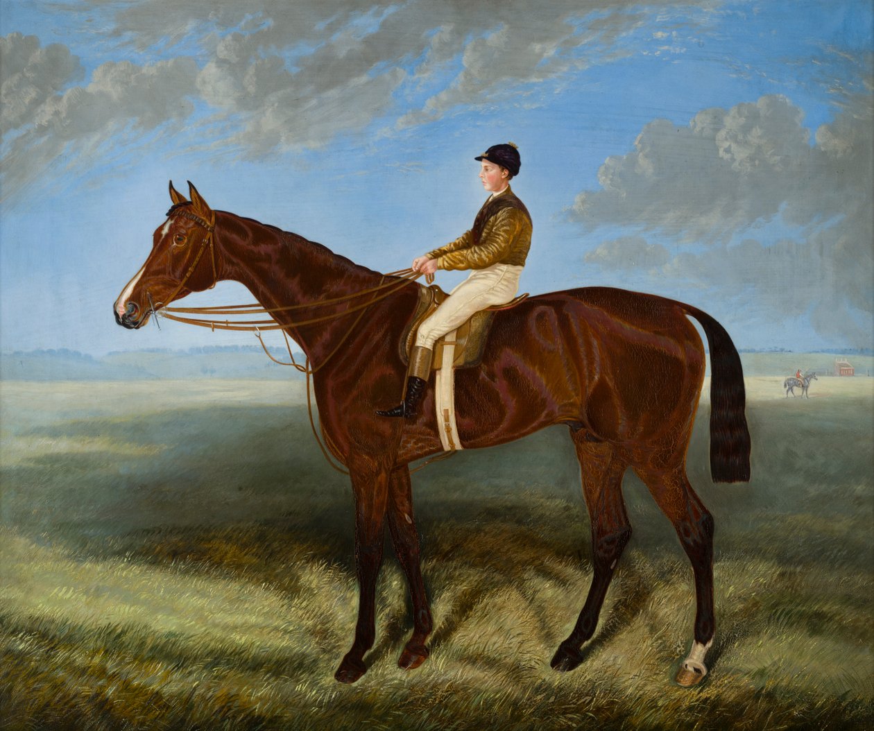 Salpinctes-en væddeløbshest, ca. 1814-82 (olie på lærred) af Harry (after) Hall