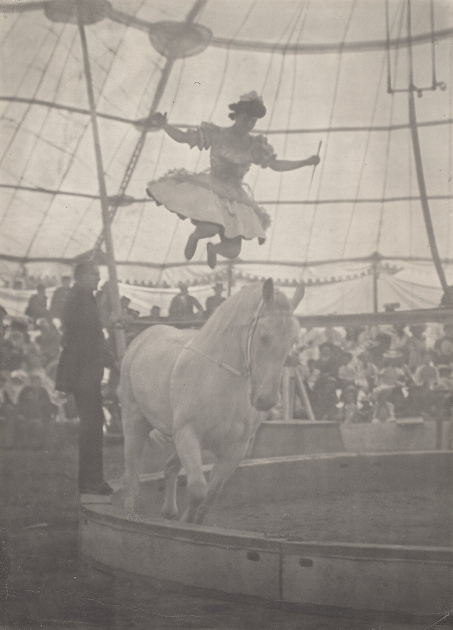 Cirkus af Harry C. Rubincam