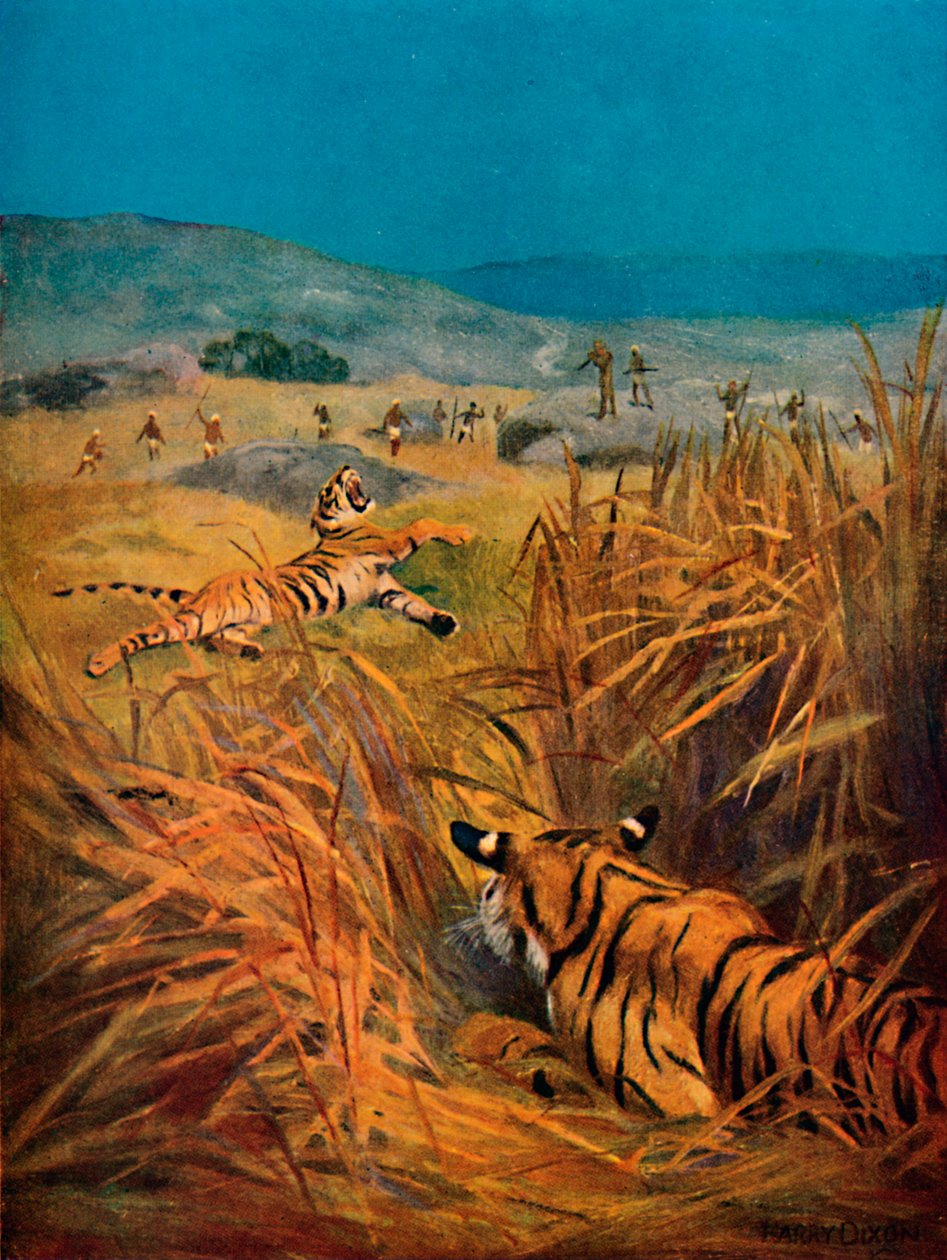 Tigre - The Terror of Indian Villages, 1913 af Harry Dixon