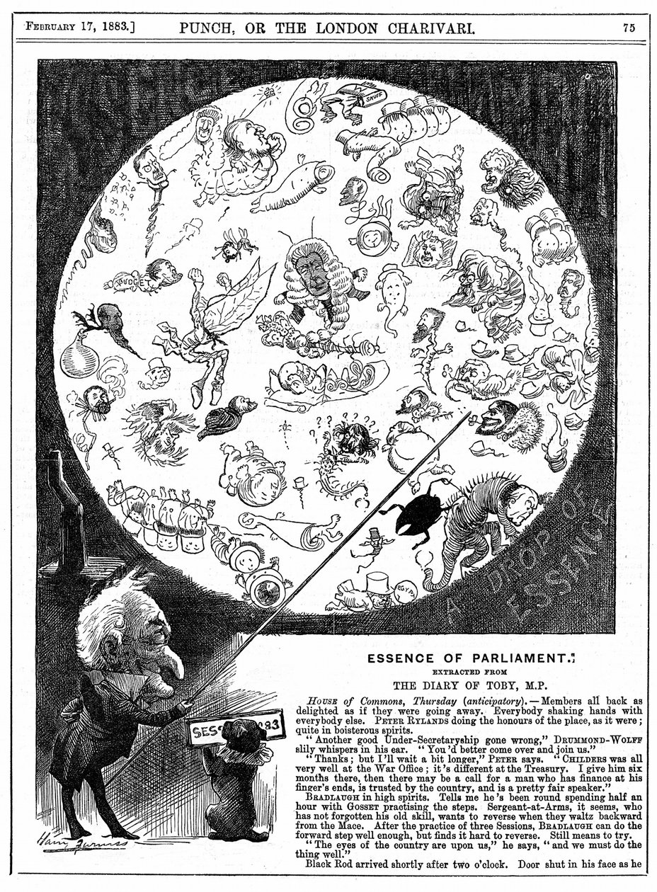 Essence of Parliament: Tegneserie, der markerer åbningen af Parlamentets første session i 1883 (trægravering) af Harry Furniss