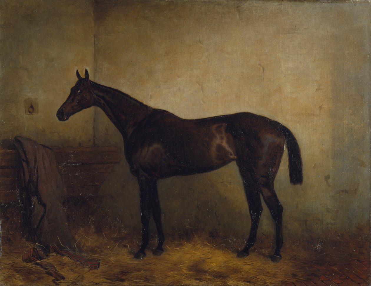 Chaplet, en bay race-hoppe i en loosebox, ca. 1877 (olie på lærred) af Harry Hall