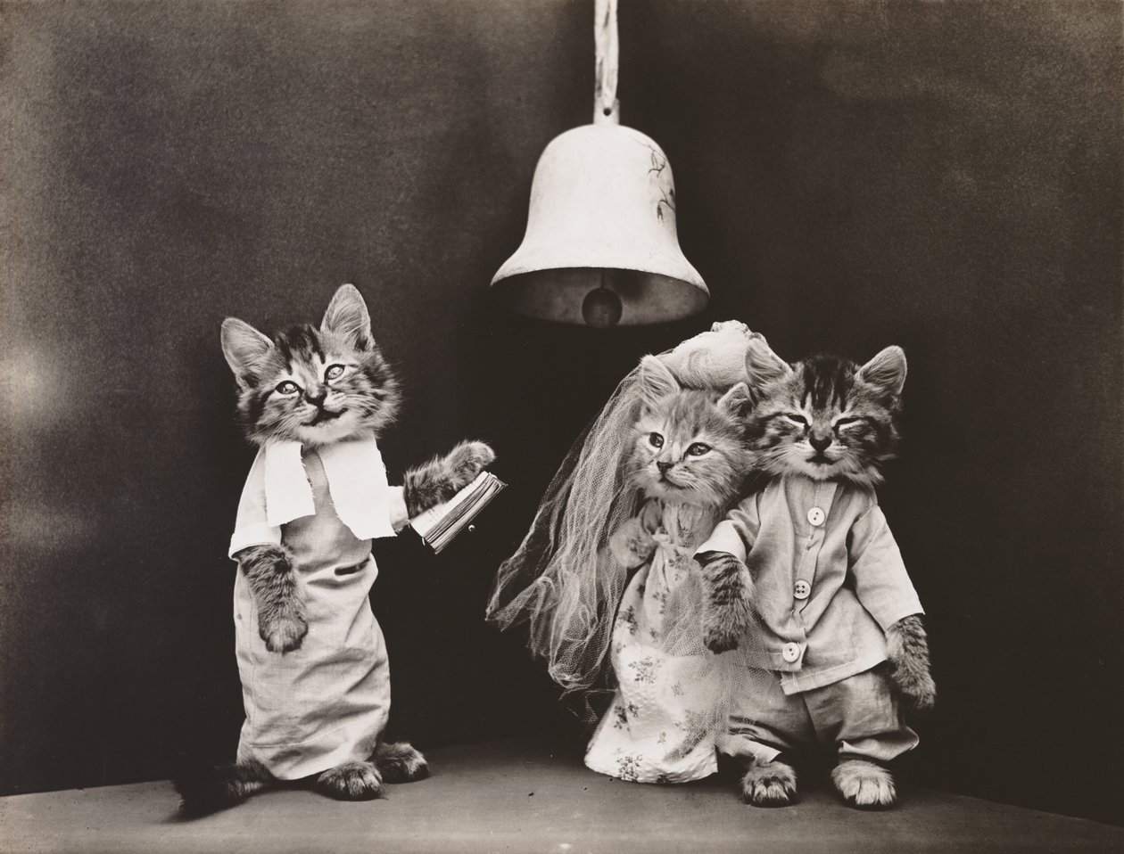 Serie af killinger: Wedding, ca. 1914 (sølvtryk) af Harry Whittier Frees