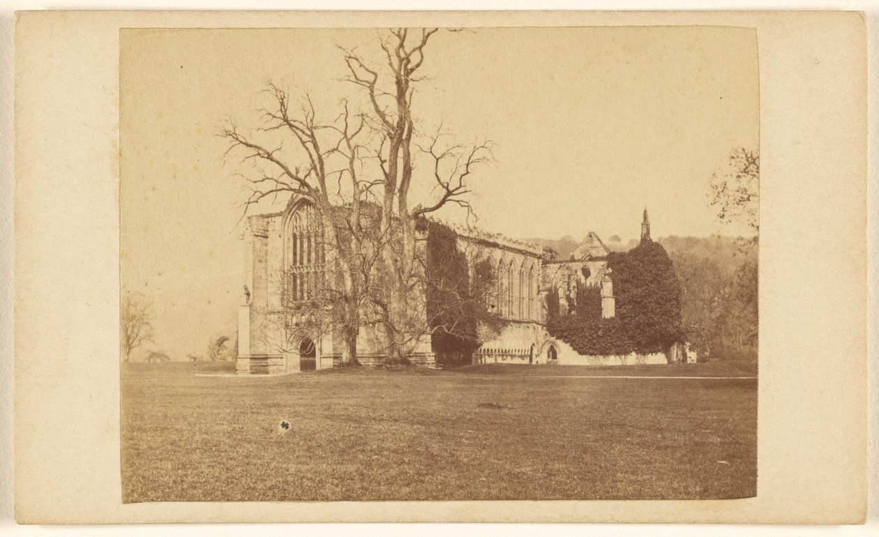 Bolton Abbey, Yorkshire nær Skipton af Harvey, Reynolds and Fowler