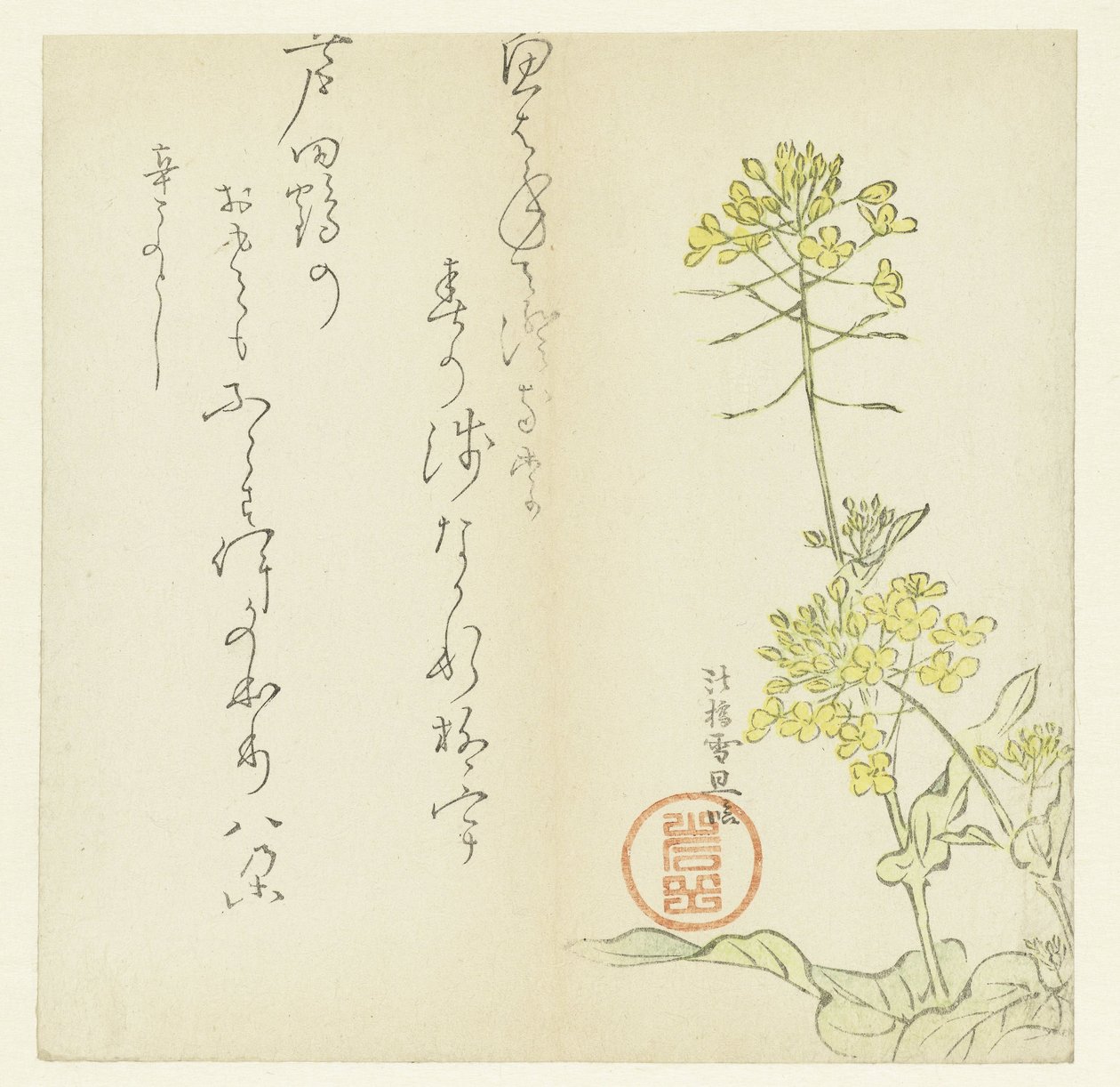 Blomster af Hasegawa Settan