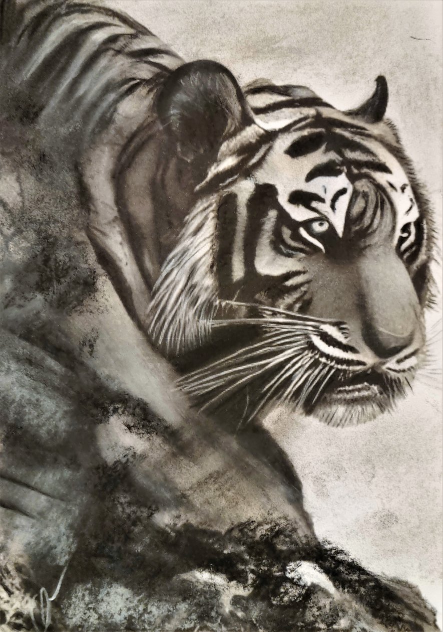 Tigre på jagt af HaskellArt