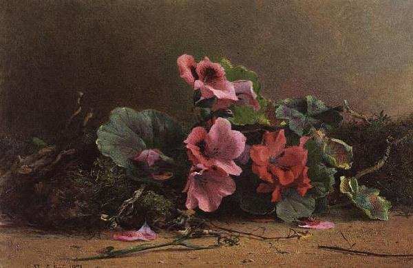 En undersøgelse af geraniums af Hector Caffieri