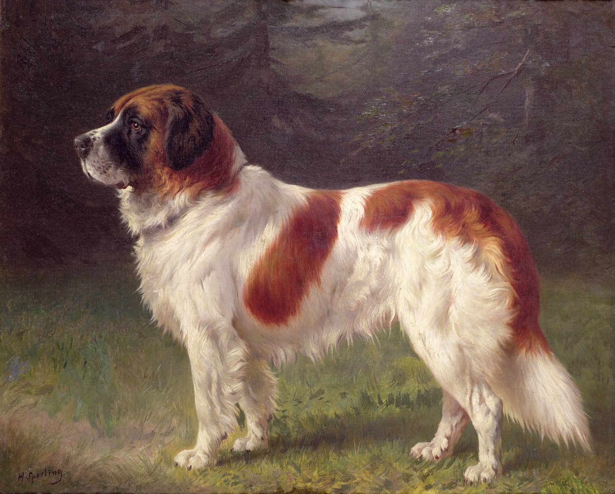Sankt Bernhard af Heinrich Sperling