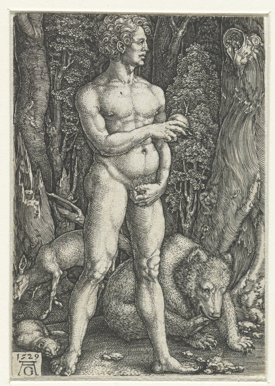 Adam af Heinrich Aldegrever
