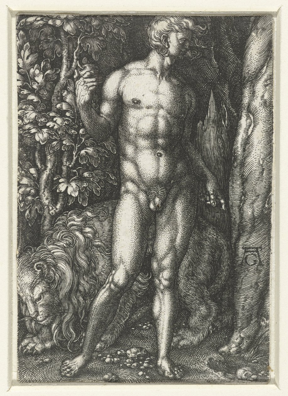 Adam af Heinrich Aldegrever