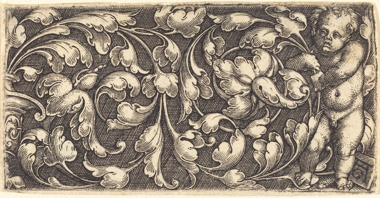 Nøgent spædbarn, der holder en dobbeltrulle af grønt ornament. af Heinrich Aldegrever
