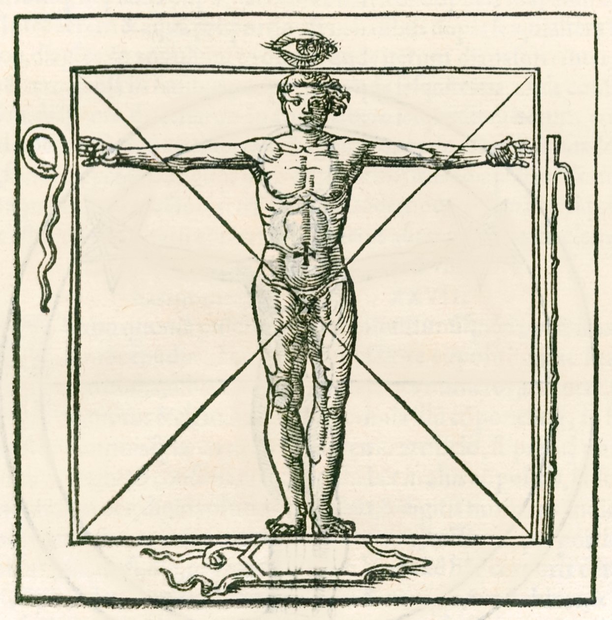 Mand på en firkant omgivet af symboler på øjet, slange, syv sektionsstav og skjold. Indgravering fra Heinrich Cornelius Agrippa von Nettesheim (1486-1535) De occulta philosophia libri tres (Three B af Heinrich Cornelius Agrippa von Nettesheim