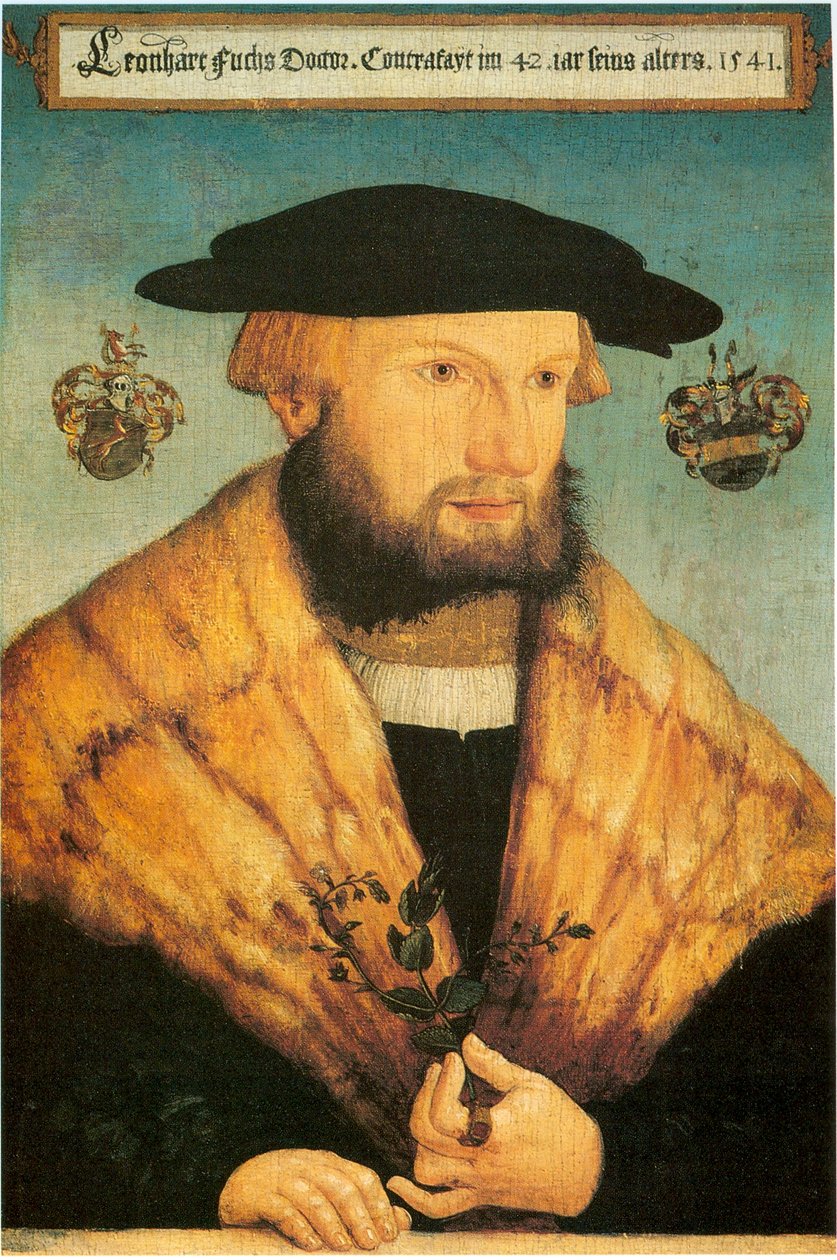 Portræt af Leonhart Fuchs (1501-1566) af Heinrich Füllmaurer