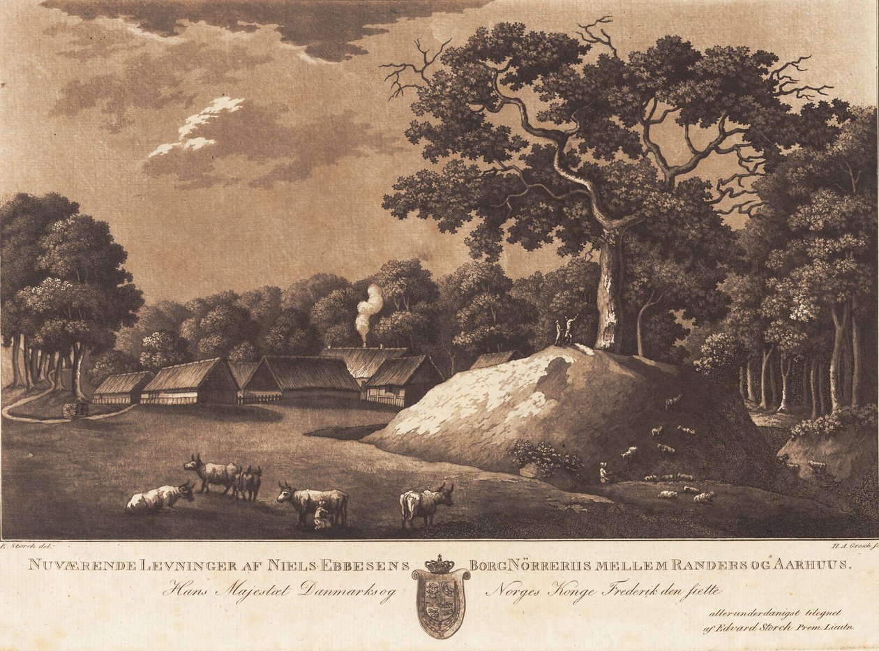 Nuværende levninger af Niels Ebbesens borg Nørreriis. E Storch del. af Heinrich Grosch