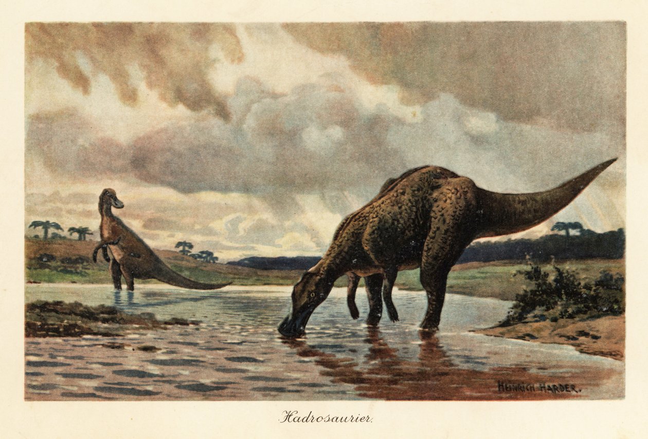 Hadrosaurer eller andenæbbede dinosaurer, der spiser i en flod. af Heinrich Harder