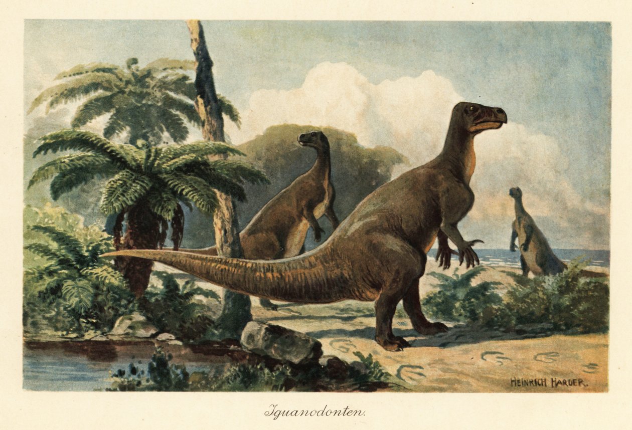 Iguanodon bernissartensis i en forhistorisk bregneskov. af Heinrich Harder