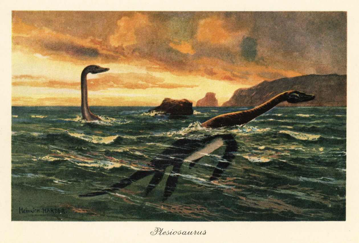 Plesiosaurus dolichhodeirus i havet. af Heinrich Harder