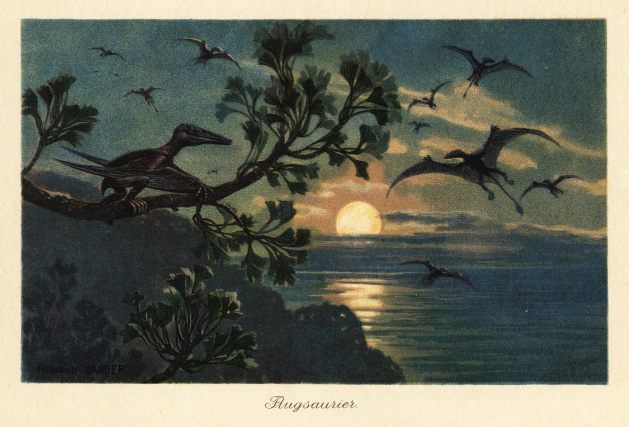 Rhamphorhynchus pterosaurs flyver i måneskin. af Heinrich Harder