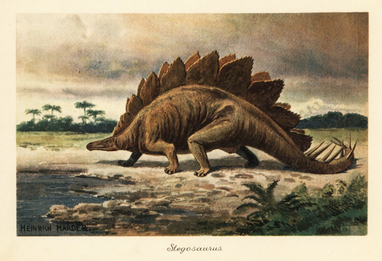 Stegosaurus armatus fra Sen Jura. af Heinrich Harder