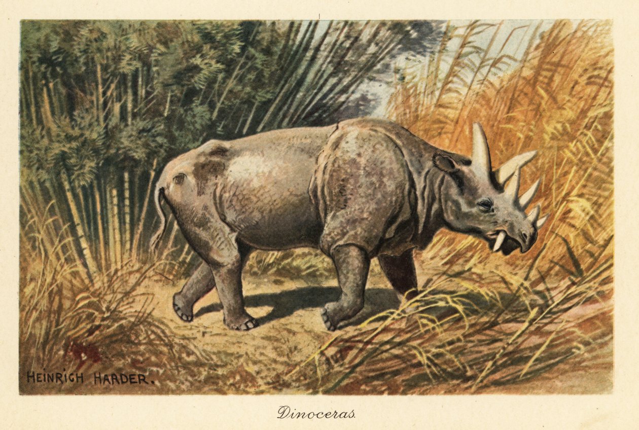 Et vildsvin i en junglelysning. af Heinrich Harder