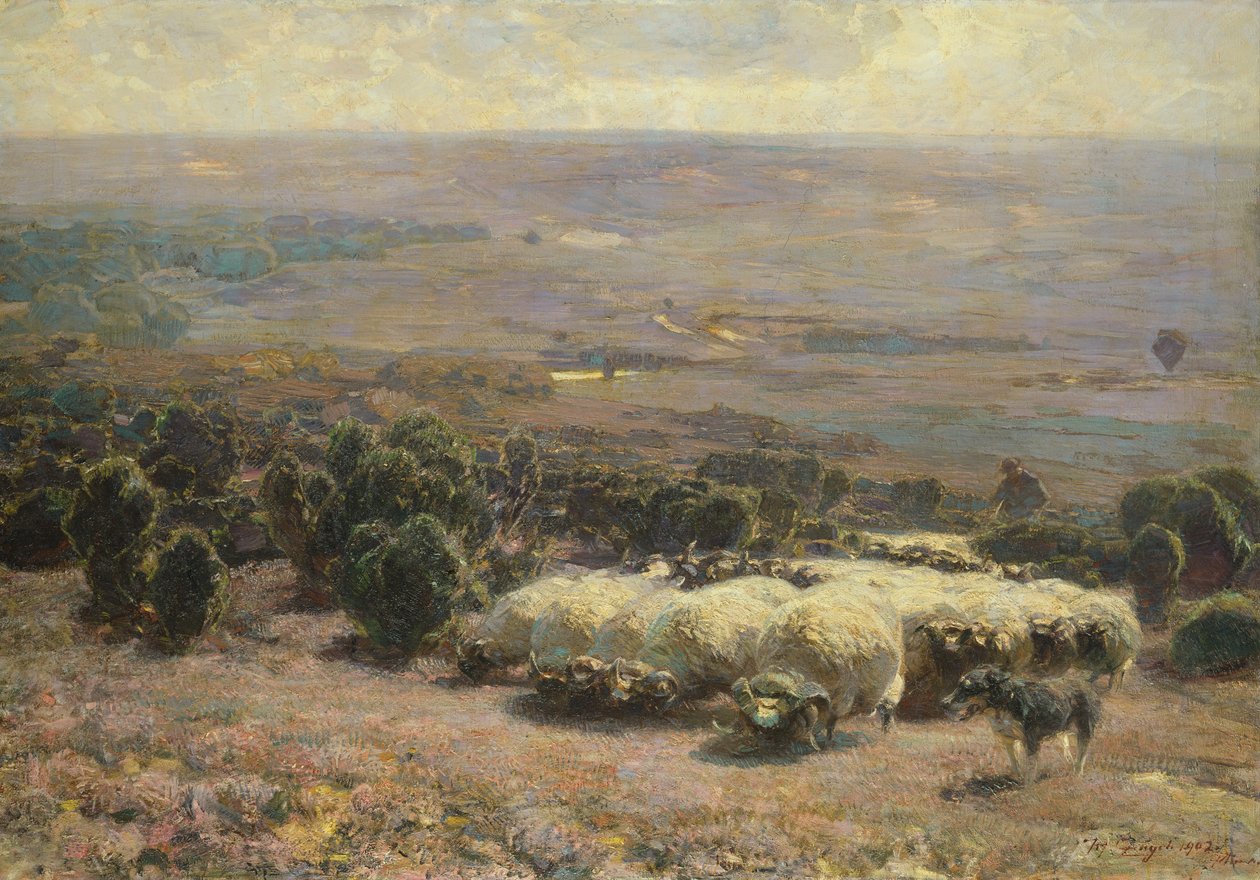 En flok får i Luneburger Heide, 1902 af Heinrich Johann von Zugel
