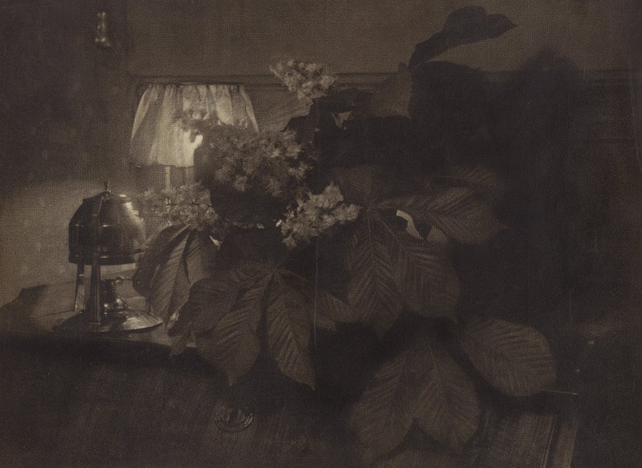[Stilleben med hestekastanjeblomster, lampe og urne]. af Heinrich Kuhn