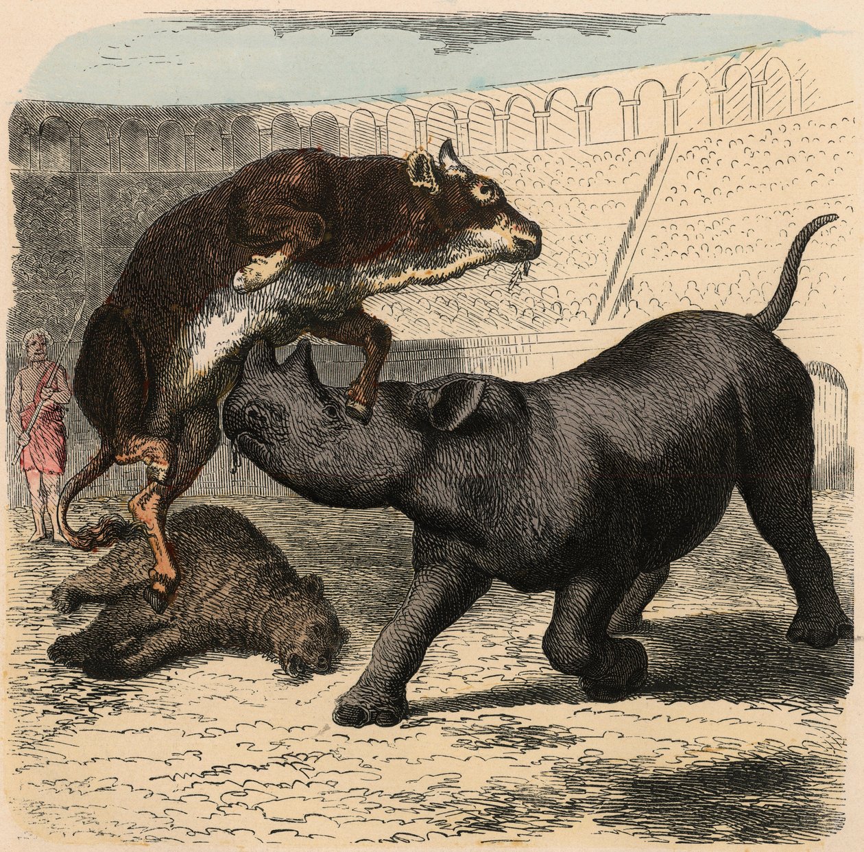 Det antikke Rom: Dyr, der kæmper i amfiteatret af Heinrich Leutemann