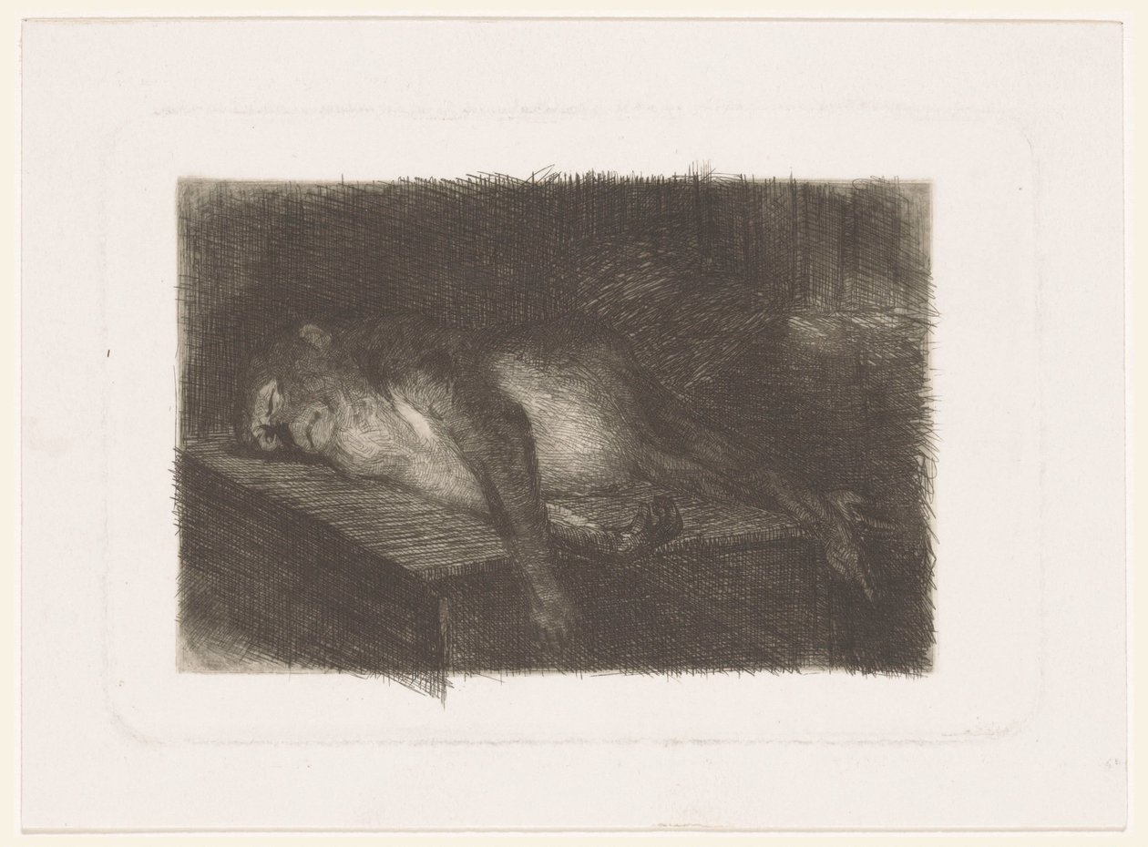 Liggende, sovende abe af Heinrich M. Krabbé