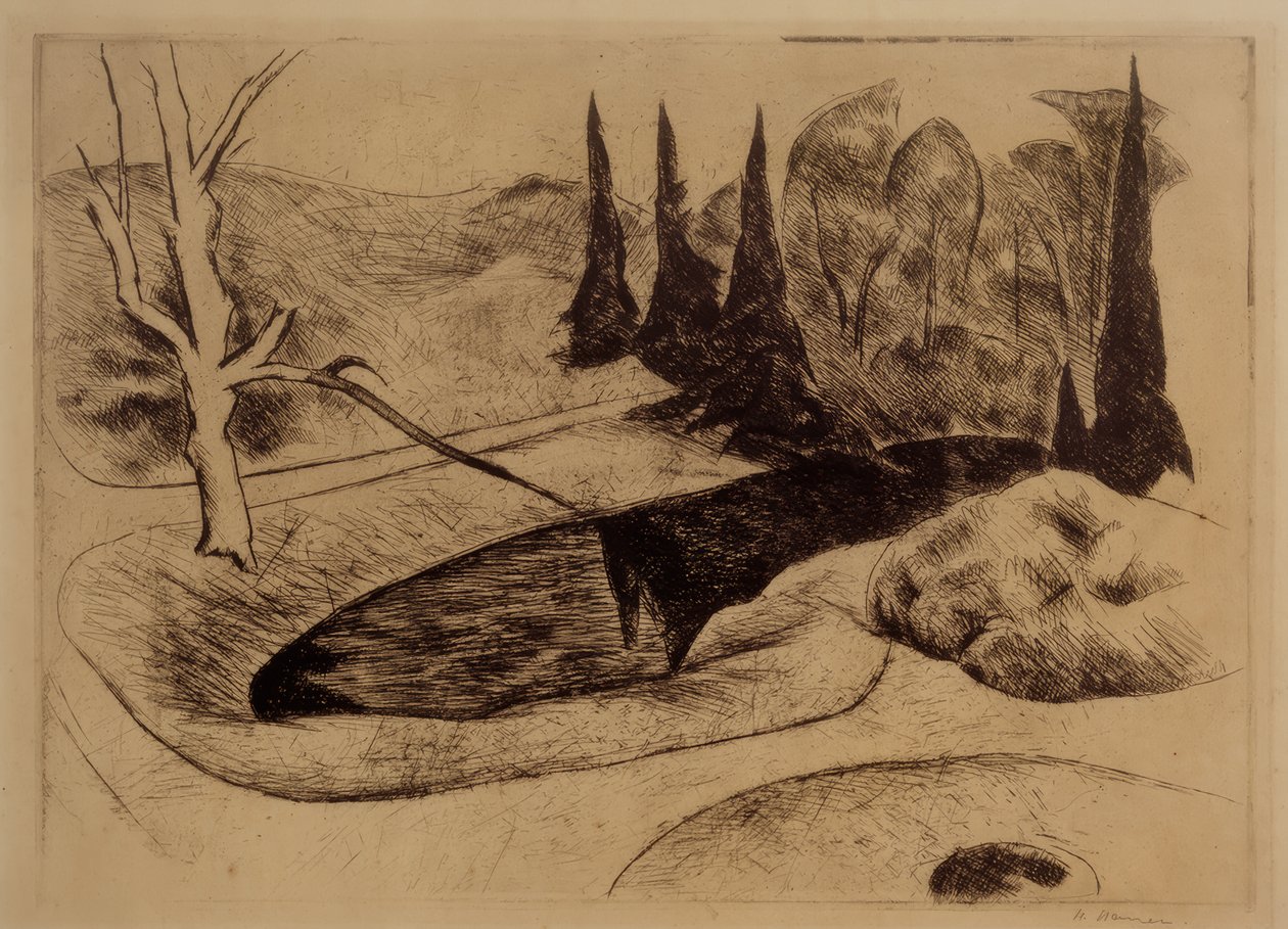Park i Dilborn, 1914 af Heinrich Nauen