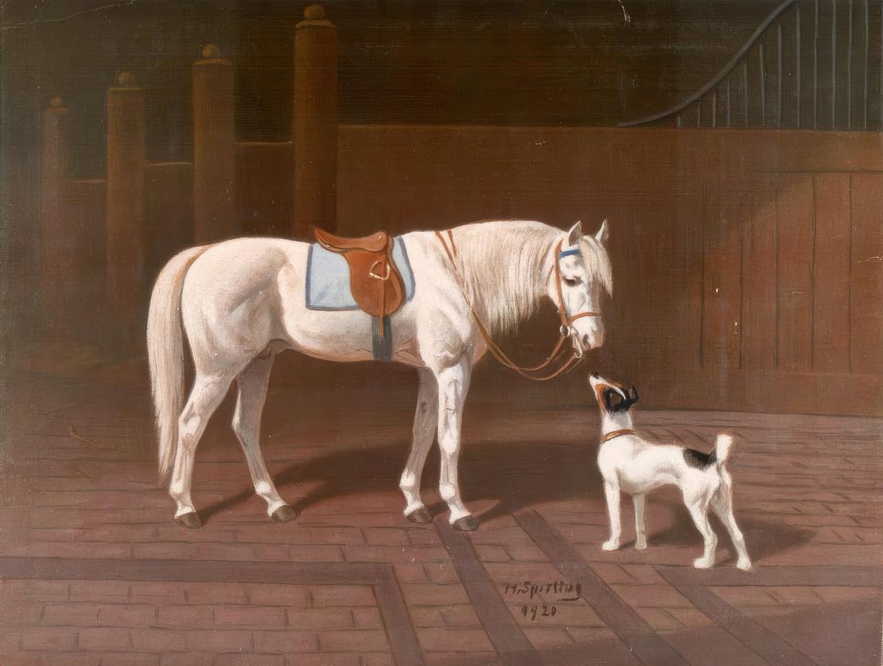 Hest, grå / efter H. Spurv af Heinrich Sperling