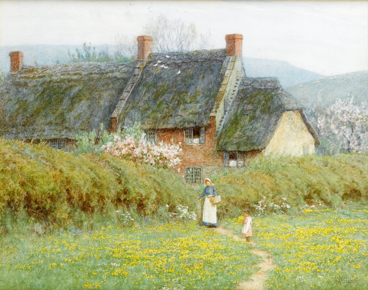 Smørblomster, nær Bridport, Dorset (wc på papir) af Helen Allingham