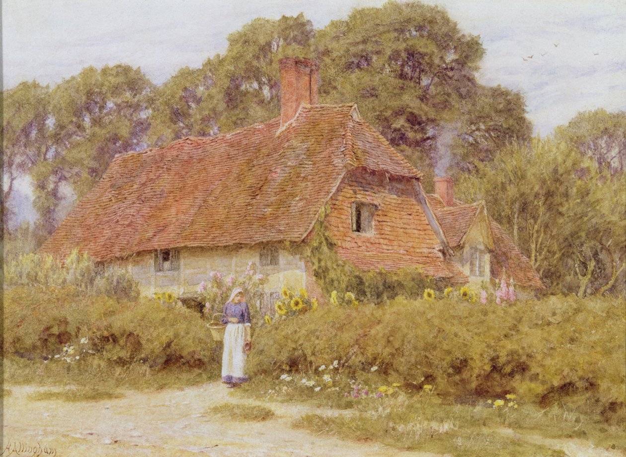 Solsikker af Helen Allingham