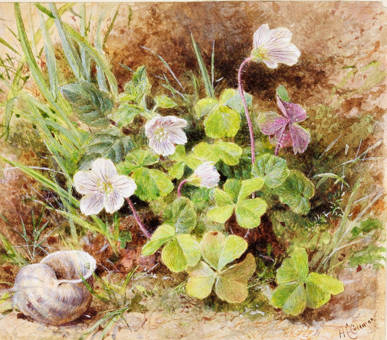 Sørgel og muslingeskal, ca.1865-74 af Helen Cordelia Coleman Angell
