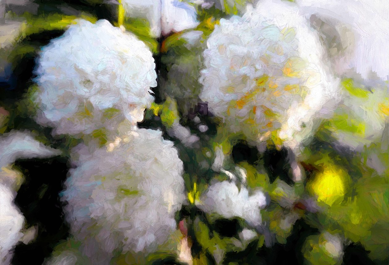 Big Blowsy Blooms, 2018, af Helen White
