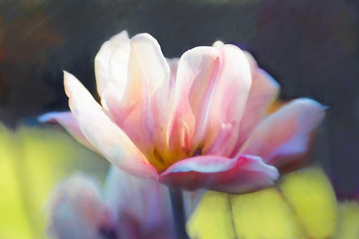 Emergence III, 2018, af Helen White