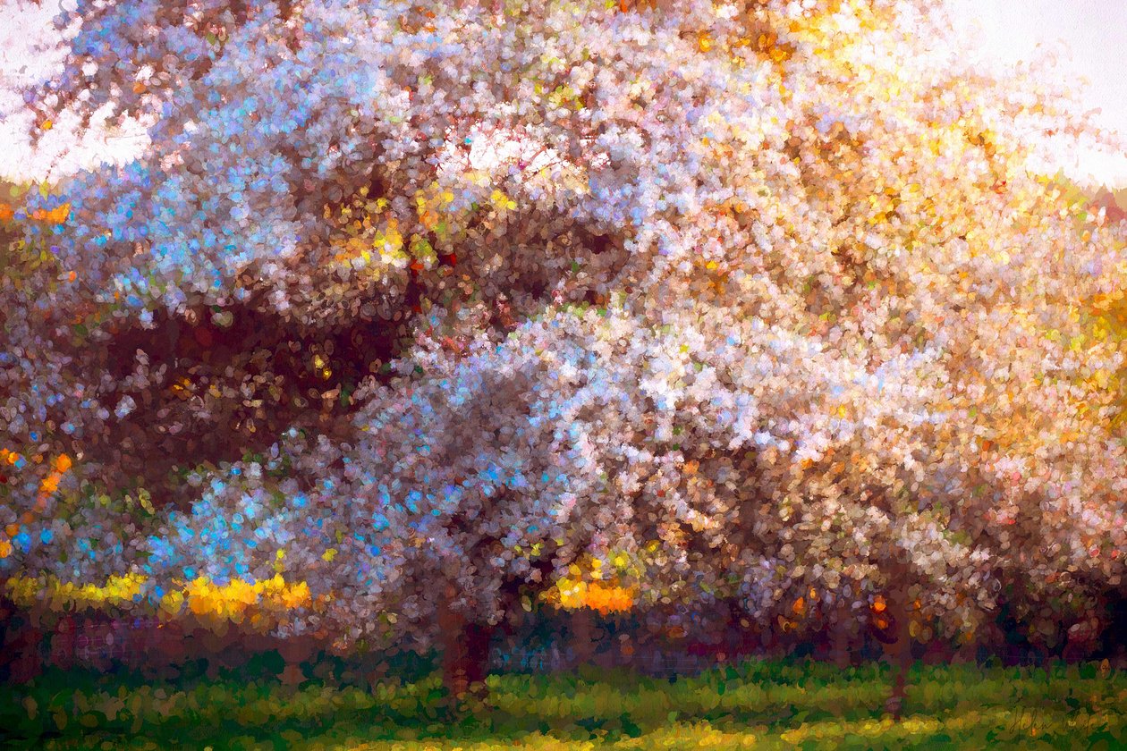 Evening Blossom, 2018, af Helen White
