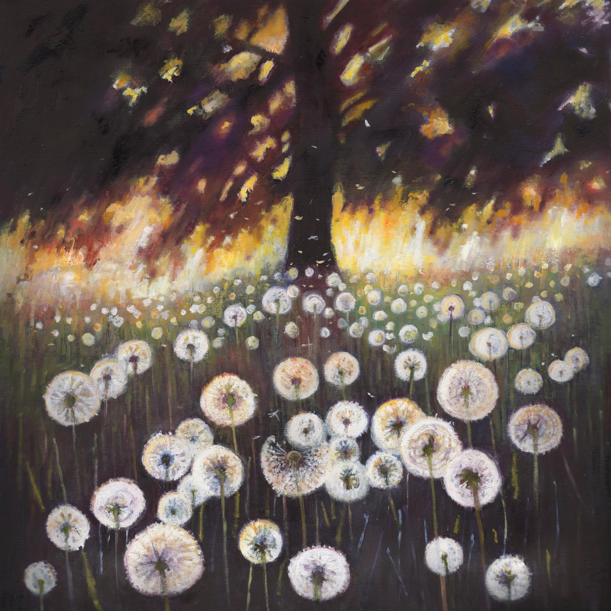 Drømmeland, 2015, af Helen White