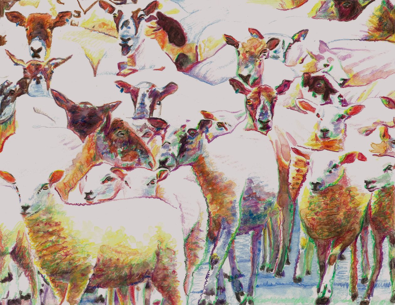 Flock, 2011, (farveblyanter på papir) af Helen White
