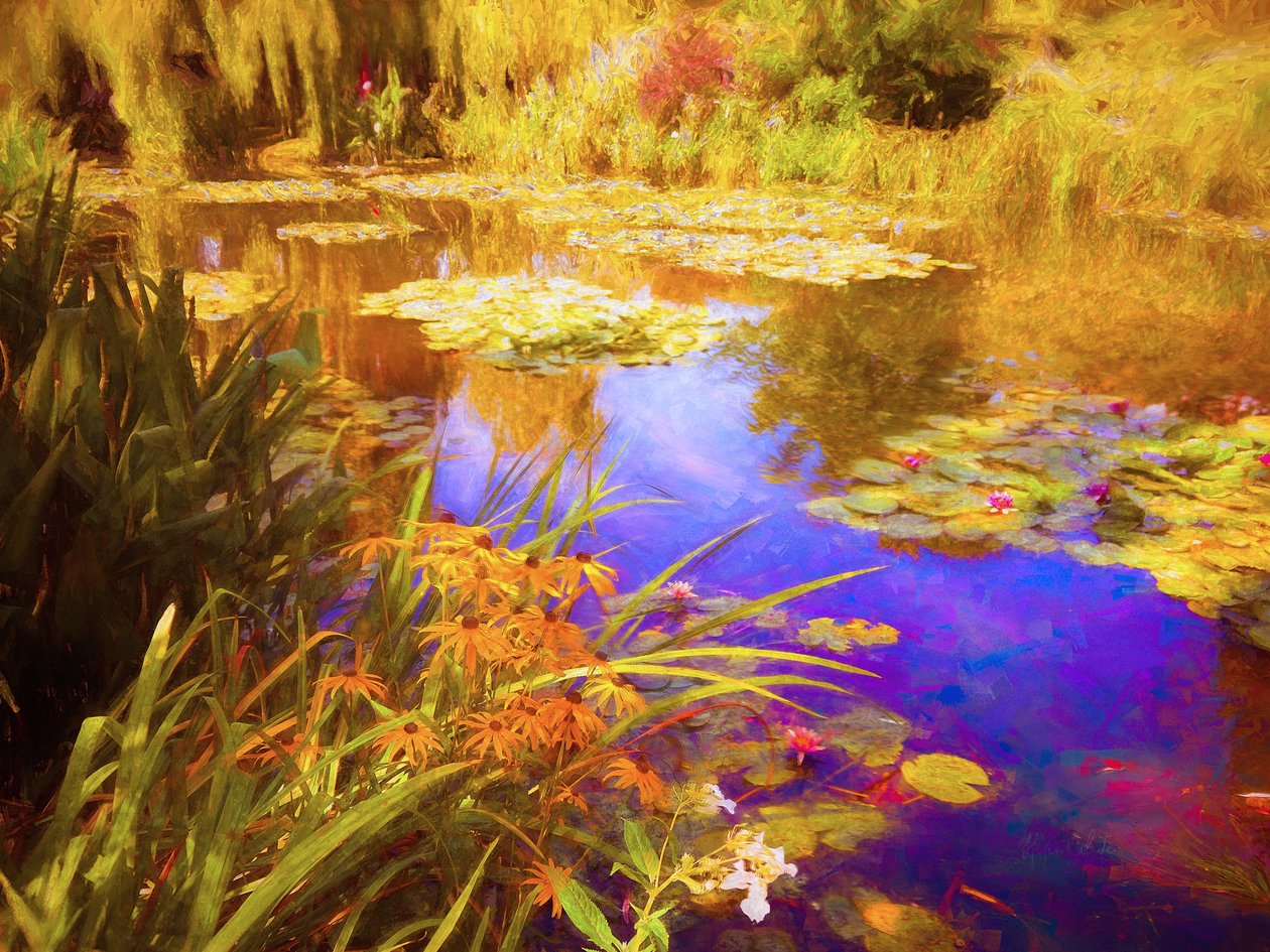 Giverny Waterlilies, 2019, af Helen White