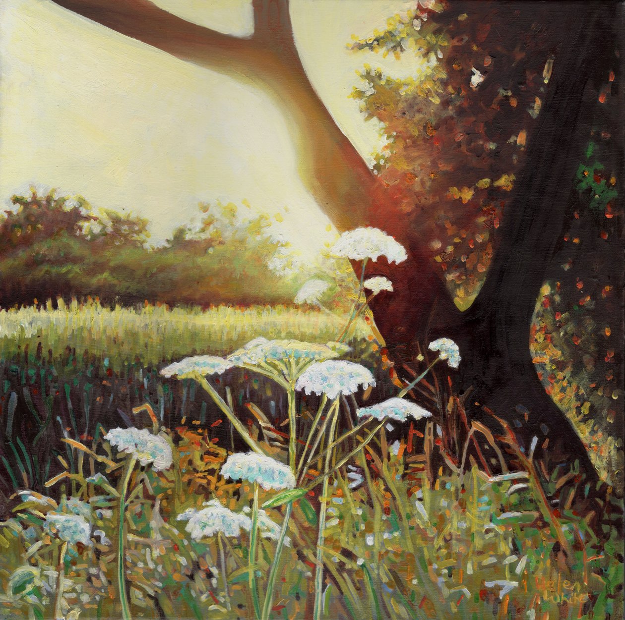 Golden hedgerow I, 2014, af Helen White