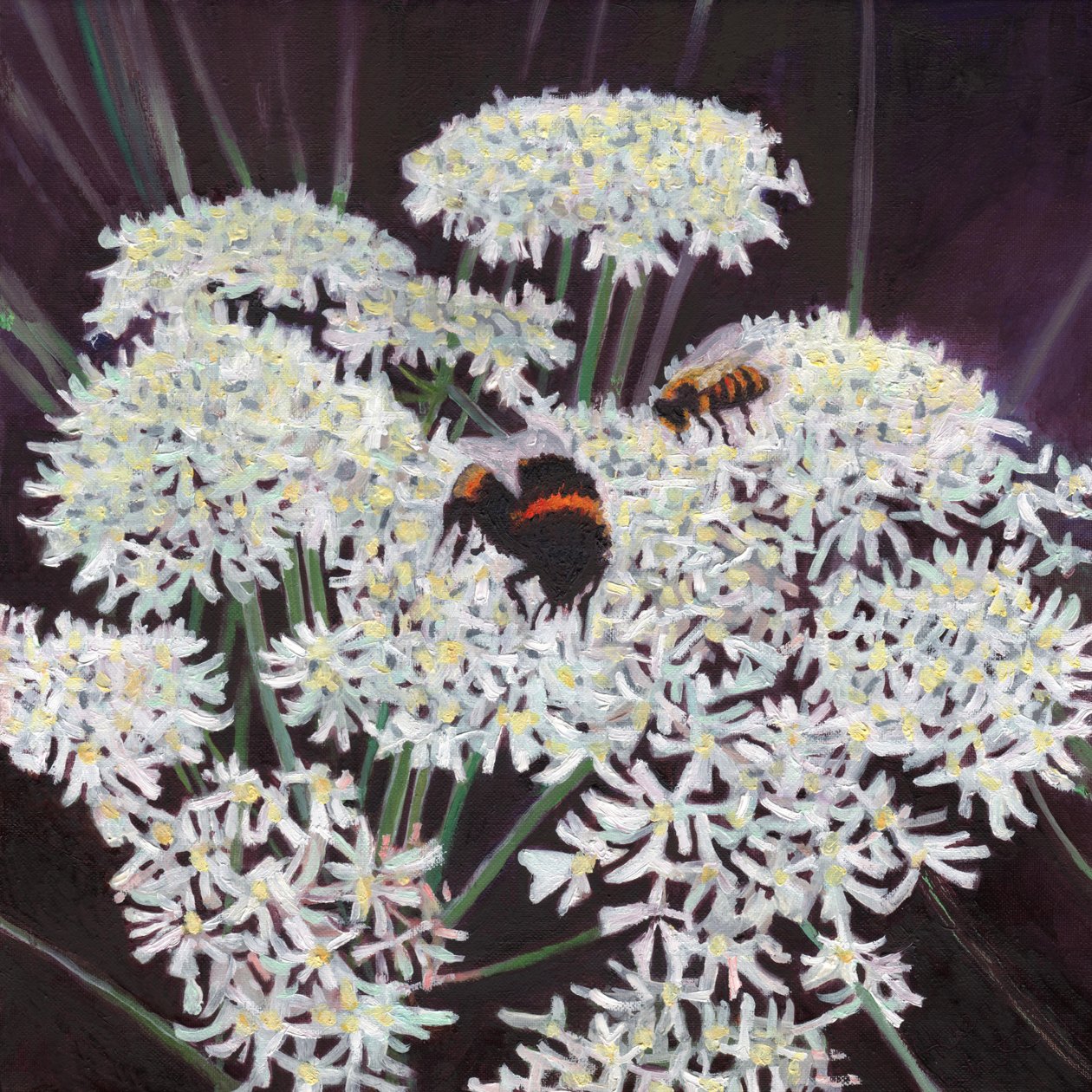 Blomsterstand, 2015, af Helen White