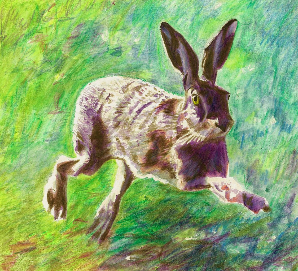 Glædelig hare, 2011, (farveblyant på papir) af Helen White