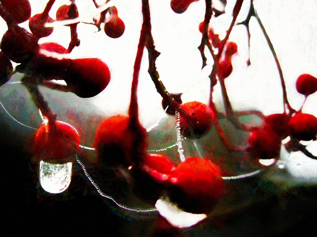 Lush Berries, 2018, af Helen White