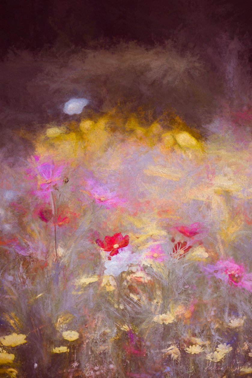 Meadow, 2018, af Helen White