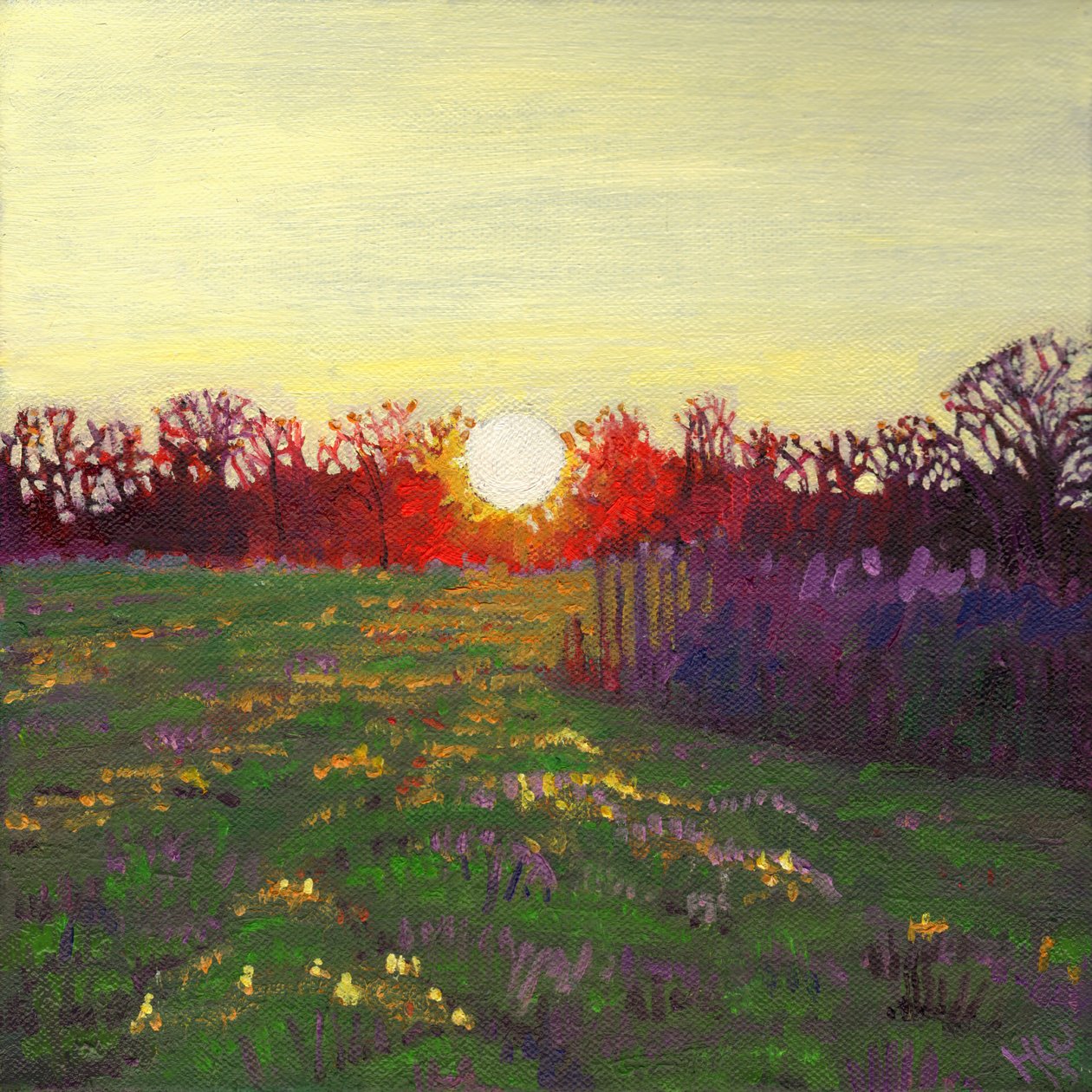 Lysets vej, 2013, af Helen White