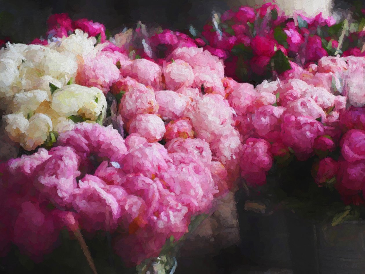 Peony Season, 2018, blandede medier) af Helen White