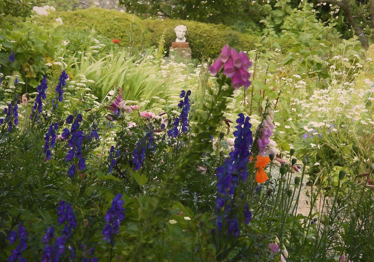 Summer Overflod, 2018, af Helen White