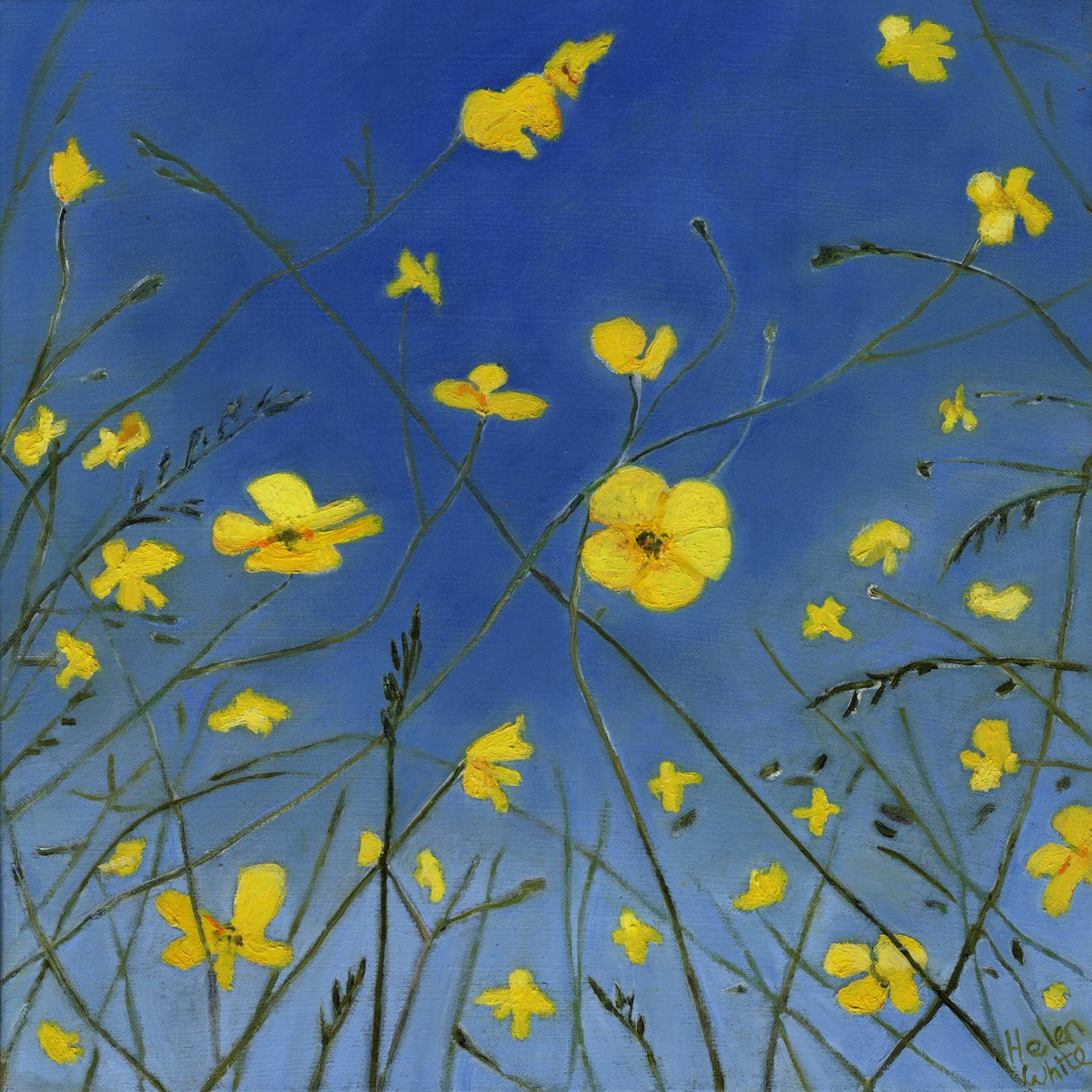 Sommerdage og dovne måder, 2015, af Helen White