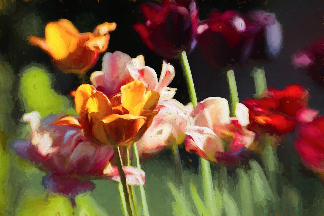 Tulip Field, 2018, af Helen White