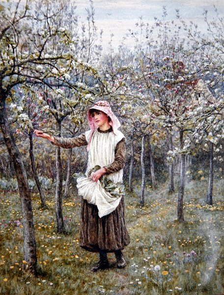 Blossom Time (akvarel på papir) af Helen Allingham