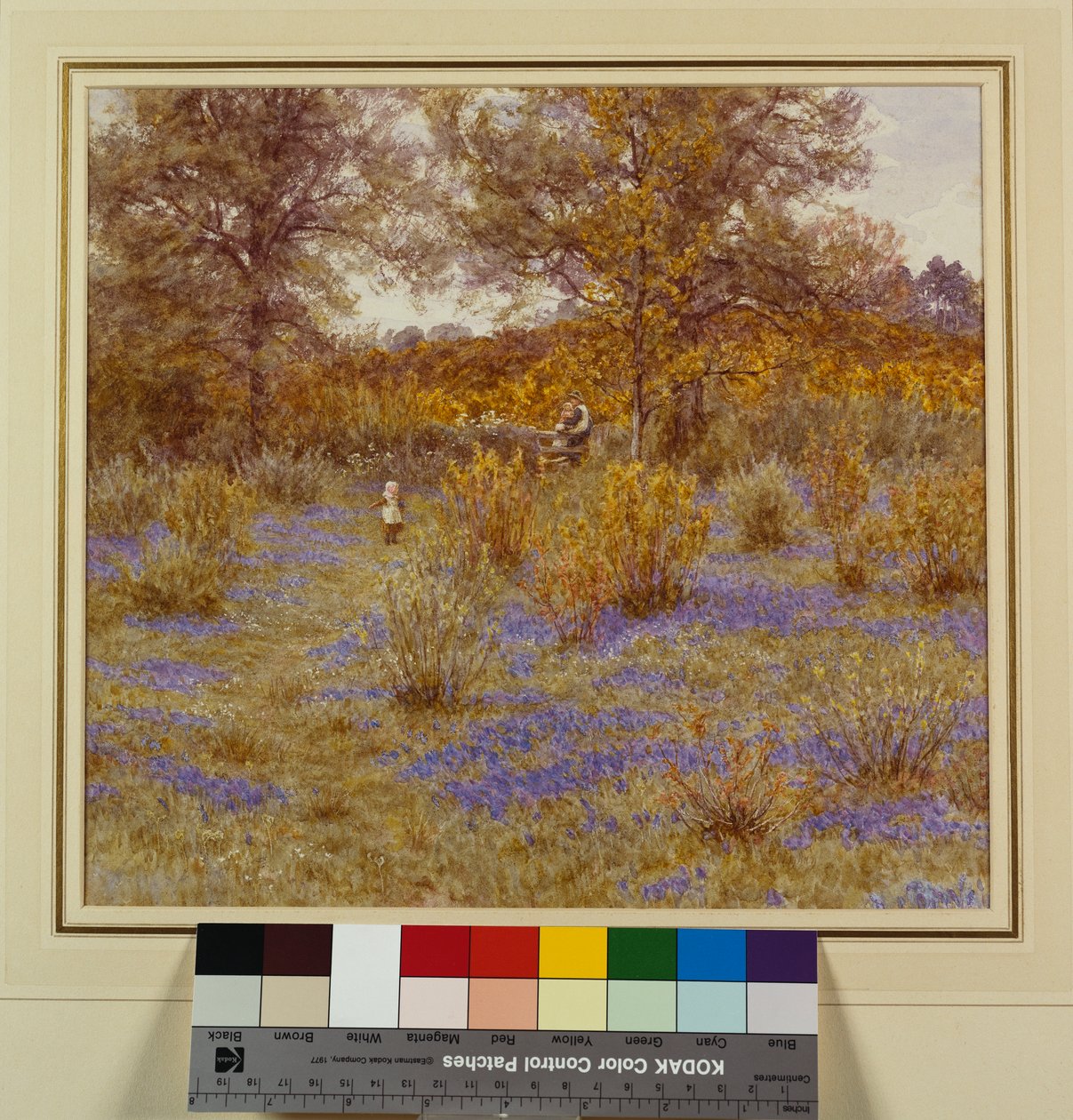 Bluebell Copse, 1889 af Helen Allingham